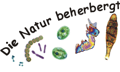 Die Natur beherbergt